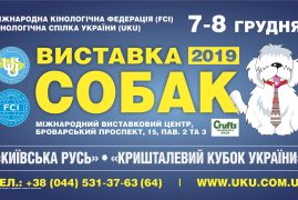 08.12.2019. FCI-CACIB «КРИШТАЛЕВИЙ КУБОК УКРАЇНИ — 2019»